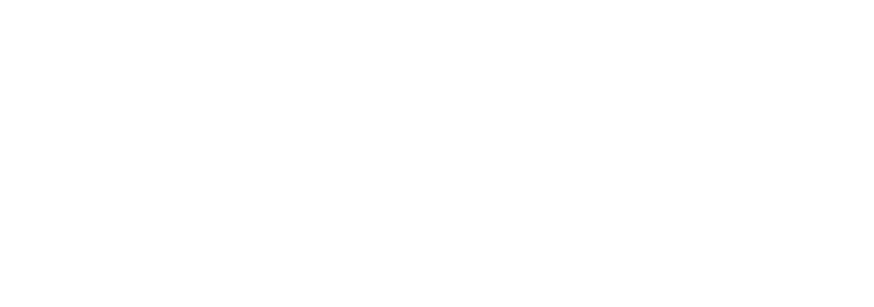 Sky Sport Breakers Logo
